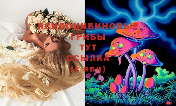 дурь Иннополис