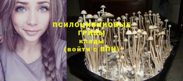 дурь Иннополис